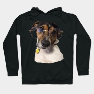 Jack Russell Wearing Glasses Hoodie